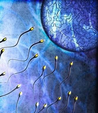 Причины бесплодия Причины бесплодия